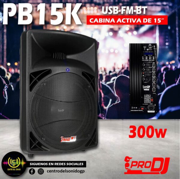 cabina activa pb15k usb fm bt pro dj