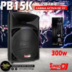 cabina activa pb15k usb fm bt pro dj