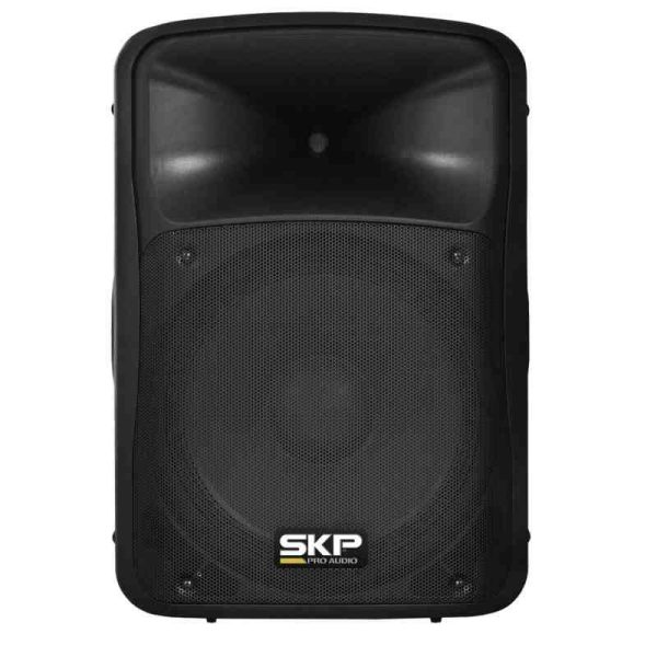 cabina-pasiva-sk-515i-15-skp cabina pasiva sk 515i 15" skp