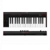 teclado midi irigkeys2pro