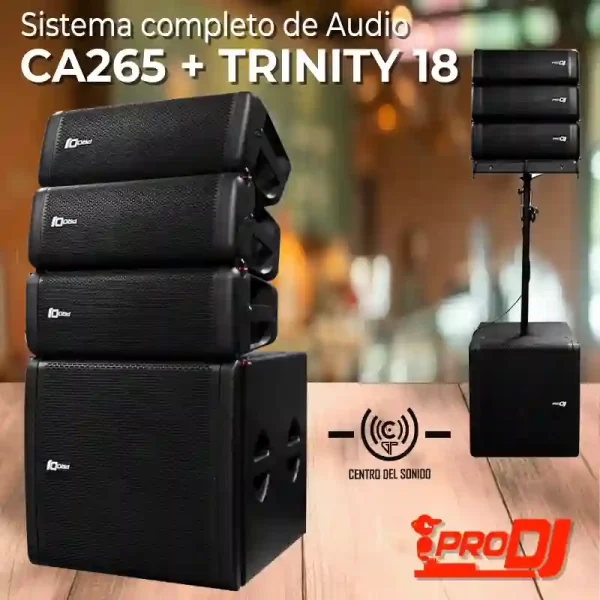 sistema completo de audio ca265 + trinity 18