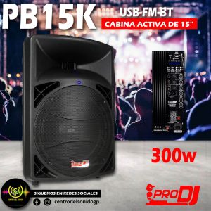 cabina activa pb15k usb fm bt pro dj