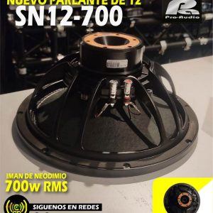 parlante pa pro audio sn12 700 de 10 p