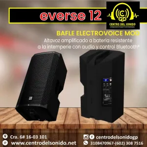 bafle electrovoice mod. everse 12