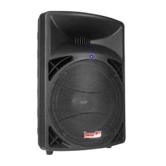 cabina activa de 12″ prodj pb12k usb fm bt