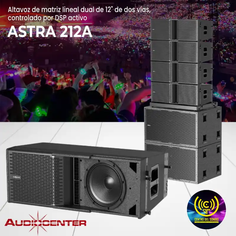 altavoz de matriz lineal dual de 12" de dos vías