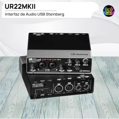 ur22mkii steinberg